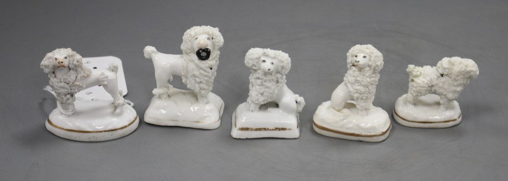 Five Staffordshire porcelain toy figures of poodles, c.1835-50, H. 3.8 - 5cm